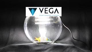 D4A Submerged in Water