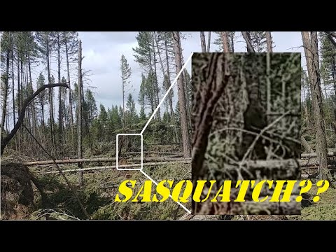 We Found a SASQUATCH in Montana, FULL VIDEO BREAKDOWN