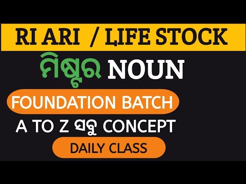 Noun l OSSSC RI ARI AMIN ICDS LIFE STOCK INSPECTOR l Noun in Odia l Noun English Grammar l