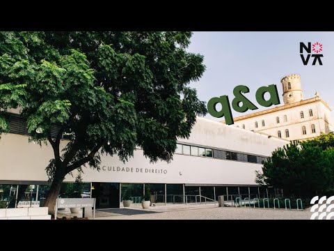 Q&A sobre a NOVA School of Law | Sara Pacheco