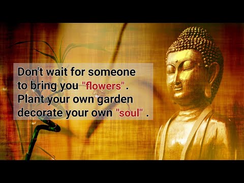 Buddha Quotes for Inner Motivation | Inspirational Quotes | Buddhist Teaching | Buddha Hand