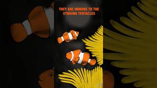 DID YOU KNOW???? @Flutter2023