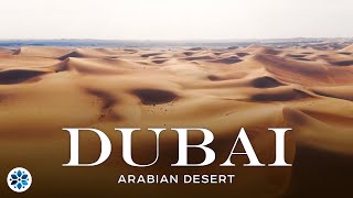 Sunset In The Desert, United Arab Emirates. Camels And Cars Among Sand Dunes, 4K Drone Video