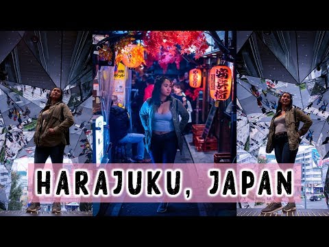 Shopping and Street Food in Harajuku! ft. Dog Cafe and Omoide Yokocho