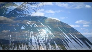 Auto Cross Fadding Effect in VEGAS Pro by @BKTutorial