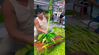 #short #agriculture #agritools#farming2024  #youtubeshorts #EliteShortsUnleashed #1672