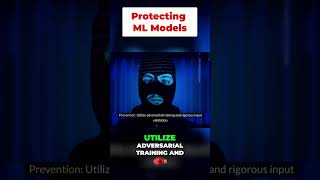 Input Manipulation Attacks: Protecting ML Models