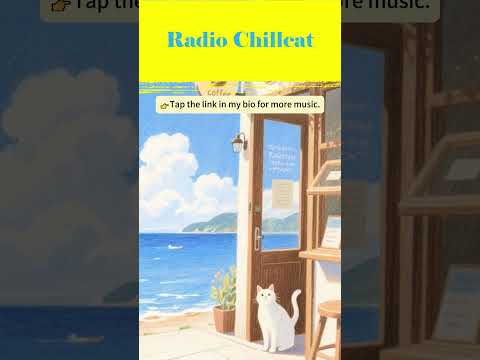 This moment is yours alone. Sink into the sound. 🐾 #lofi #cat #chillhop