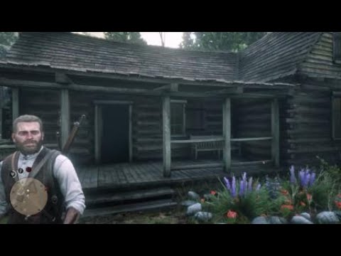 Red Dead Redemption 2 Diary  - Stranger mission - Lady