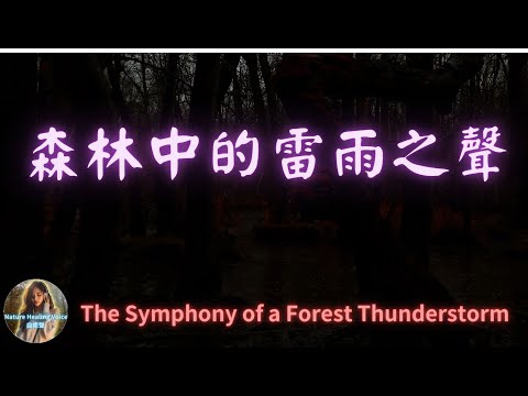 森林中的雷雨之聲∣The Symphony of a Forest Thunderstorm#自然聲音#雨聲#放鬆#冥想#下雨天#雨聲音樂#ASMR#舒壓#冥想音樂#自然環境#森林雨聲#雷雨聲#雨天