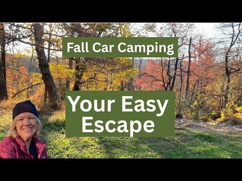 Solo Car Camping with Simple Meals in My Minivan