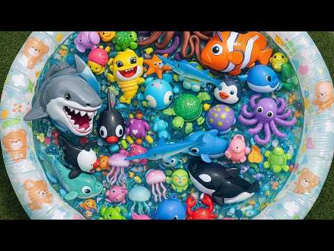 Sea & Ocean Animals For Kids | 🐠 Toddler Learn Words Education Video | Learn Name For Kids