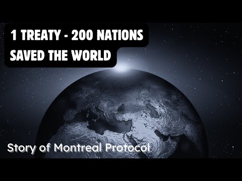 How the Montreal Protocol Saved Life on Earth