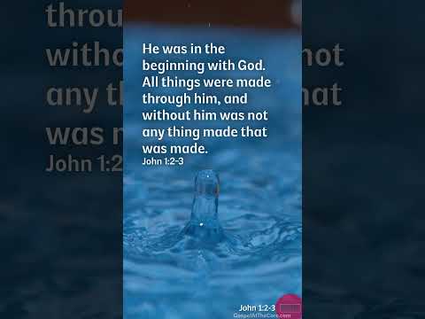 John 1:2-3 #john #scripture #dailyscripture #shorts #god #jesus