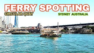 Ferry Spotting in Circular Quay, Sydney ⛴️