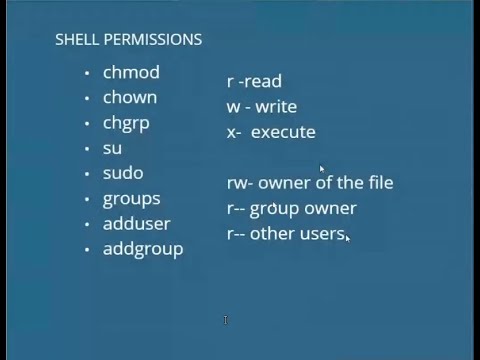 Shell Permission(Part2)