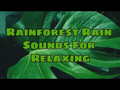 Epic Rainforest Rain sounds for sleeping,relaxing or studying|10minutes