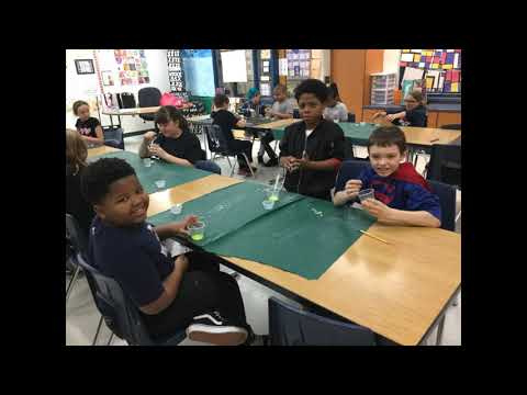Science Enrichment 5th grade Steenland - Year in Review