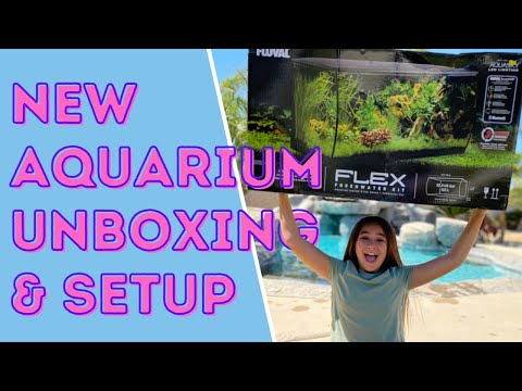 🐠 New FLUVAL AQUARIUM set up • Live Aquatic Plants • Freshwater