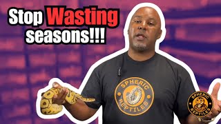 Stop Wasting Seasons! How to Plan Ball Python Pairings the Right Way (Beginner Breeding Guide)