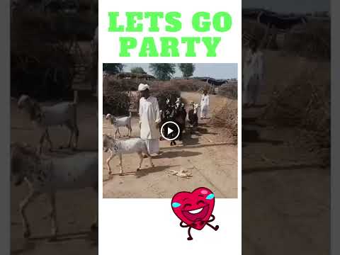 Lets Go Party