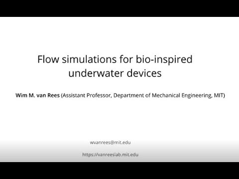CCSE Symposium 2021 - Wim van Rees
