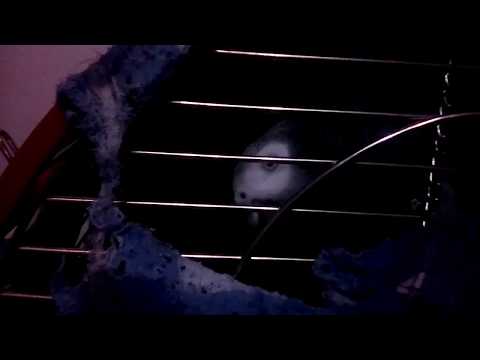 African grey won't stop when it's sleep time