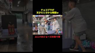 ユニバのジョーズすぎるw#お笑い #面白集 #面白い #千鳥 #最高のシーン #shorts