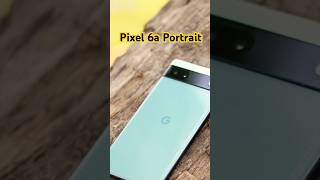 Google Pixel 6A Camera Test - Portraits 🔥#pixel6a #pixel #shorts