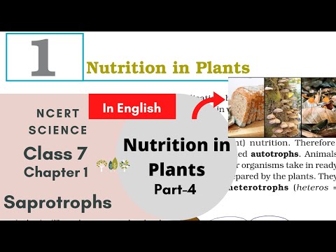 Saprotrophs-Nutrition in Plants (Part-4), Class 7 Chapter 1 Science NCERT
