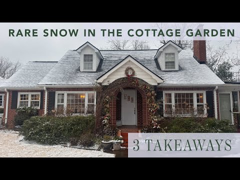 Snow in the Cottage Garden | 3 Takeaways