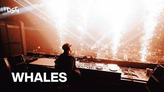 WHALES @ BLACKLIST 🚨 BEST DUBSTEP LIVE MIX 2026 🚨 Brutal Dubstep Drops 🚨