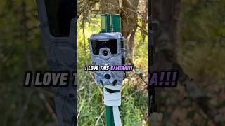 The Best Budget Trail Cam I’ve Ever Used! 🔥 (USOGOOD TC30) 🔥- #NonCellular #trailcam