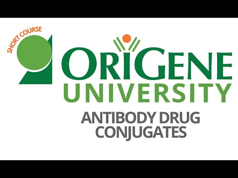 OriGene University - Antibody Drug Conjugates