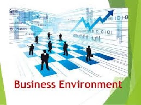 2- Business Environment - Impact of New Economy Policy 1991