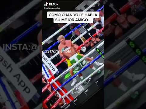 logan paul vs floyd mayweather