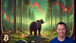 Bitcoin: Dubious Speculation