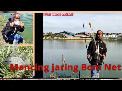 Mancing Di Pagi Hari