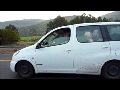 00015.avi