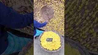 Silkworm Cocoons Turned Into Silk Threads #manufacturing #shorts