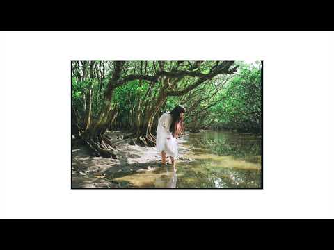 Ichiko Aoba - 奄美蛙唄 (Choe ver.)