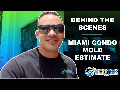 Mold Remediation Estimates From West Palm Beach To Miami