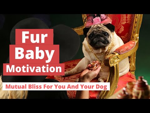 10 Ways Your Dog And You Can Positively Motivate Each Other's Happiness