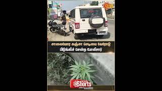 Tiruvallur | Police uproot and remove cannabis plants growing by the roadside |