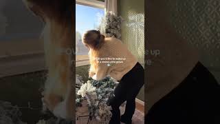 Is that too much to ask?? #diychristmas