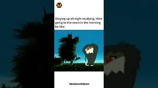 #Explore #ExplorePost#AssignmentHelp #CrammingAllNight #ExamDayVibes #StudentLife #MyAssignmentHelp