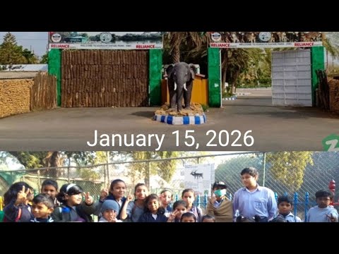 A Trip to Karachi Zoo 