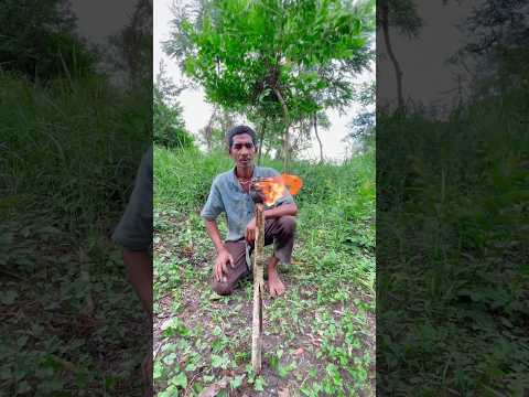 Survival skills bushcraft🔥🪵#survivalskills #shorts #fypシ゚viral