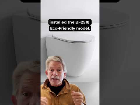 ceramic wall hung toilet