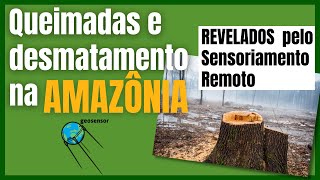 [INEGÁVEL] Como o Sensoriamento Remoto revela a destruição da Amazônia!